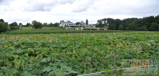 Bildschirmfoto 2019-06-18 um 17.12.53.png