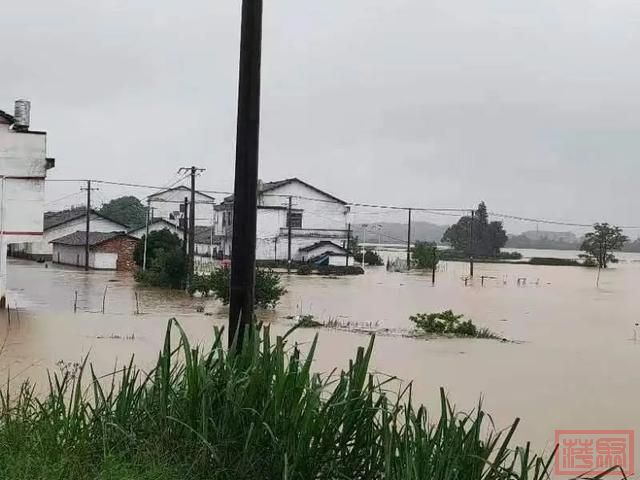 江西多地遭遇特大暴雨，直接经济损失2.3亿元-3.jpg