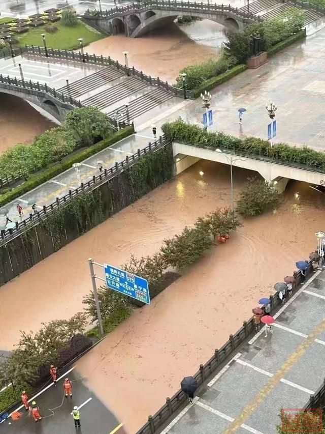 重庆中心城区降大暴雨 115个雨量站超过20毫米，达到短时强降雨标准-2.jpg