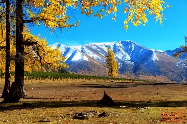 新疆的秋天，美到窒息！-5.jpg