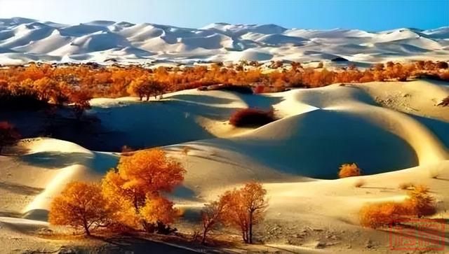 新疆的秋天，美到窒息！-34.jpg