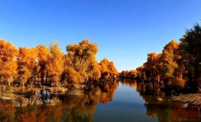 新疆的秋天，美到窒息！-40.jpg
