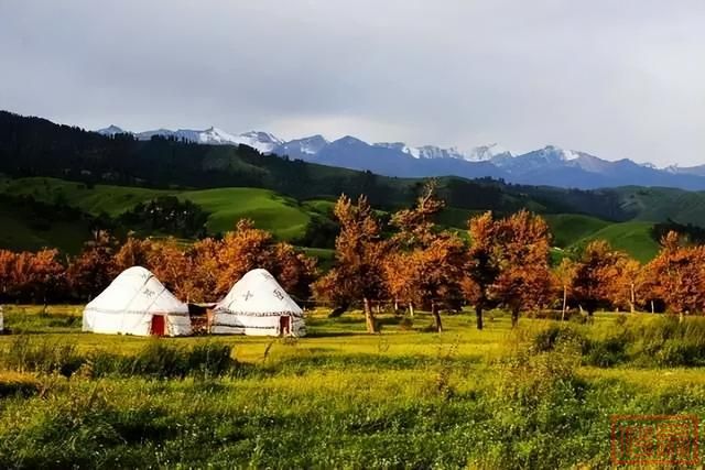 新疆的秋天，美到窒息！-47.jpg