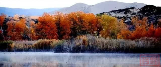 新疆的秋天，美到窒息！-51.jpg
