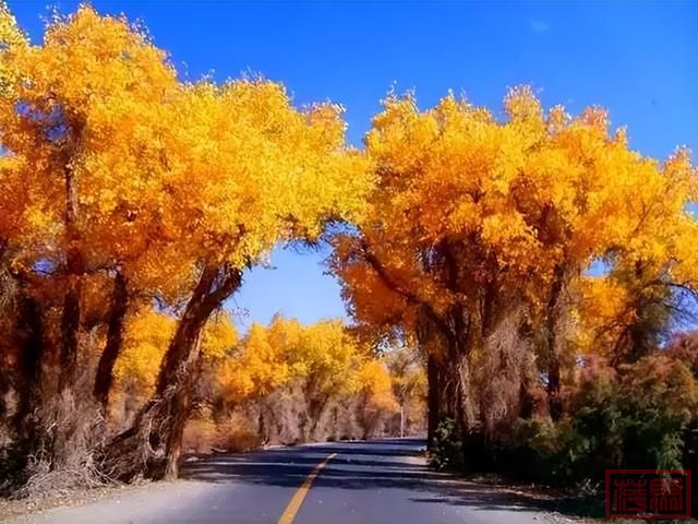 新疆的秋天，美到窒息！-53.jpg
