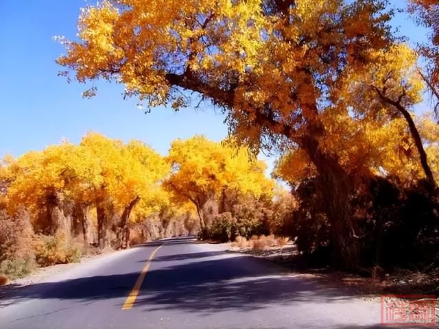 新疆的秋天，美到窒息！-55.jpg