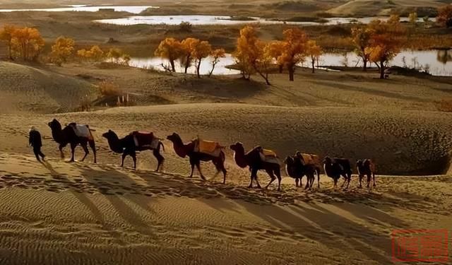 新疆的秋天，美到窒息！-62.jpg