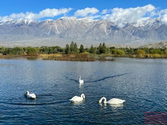 新疆旅行_想看雪山就到新疆去-7.jpg