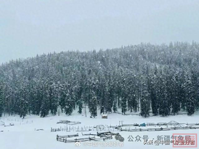 新疆2米大雪出现，还要下到中东部来？权威预报：大范围雨雪酝酿-1.jpg