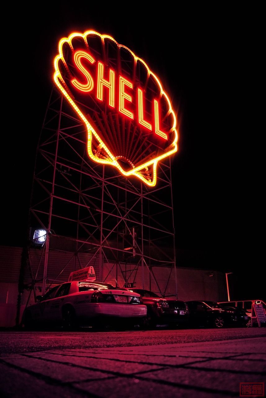 shell-2560930_1280.jpg