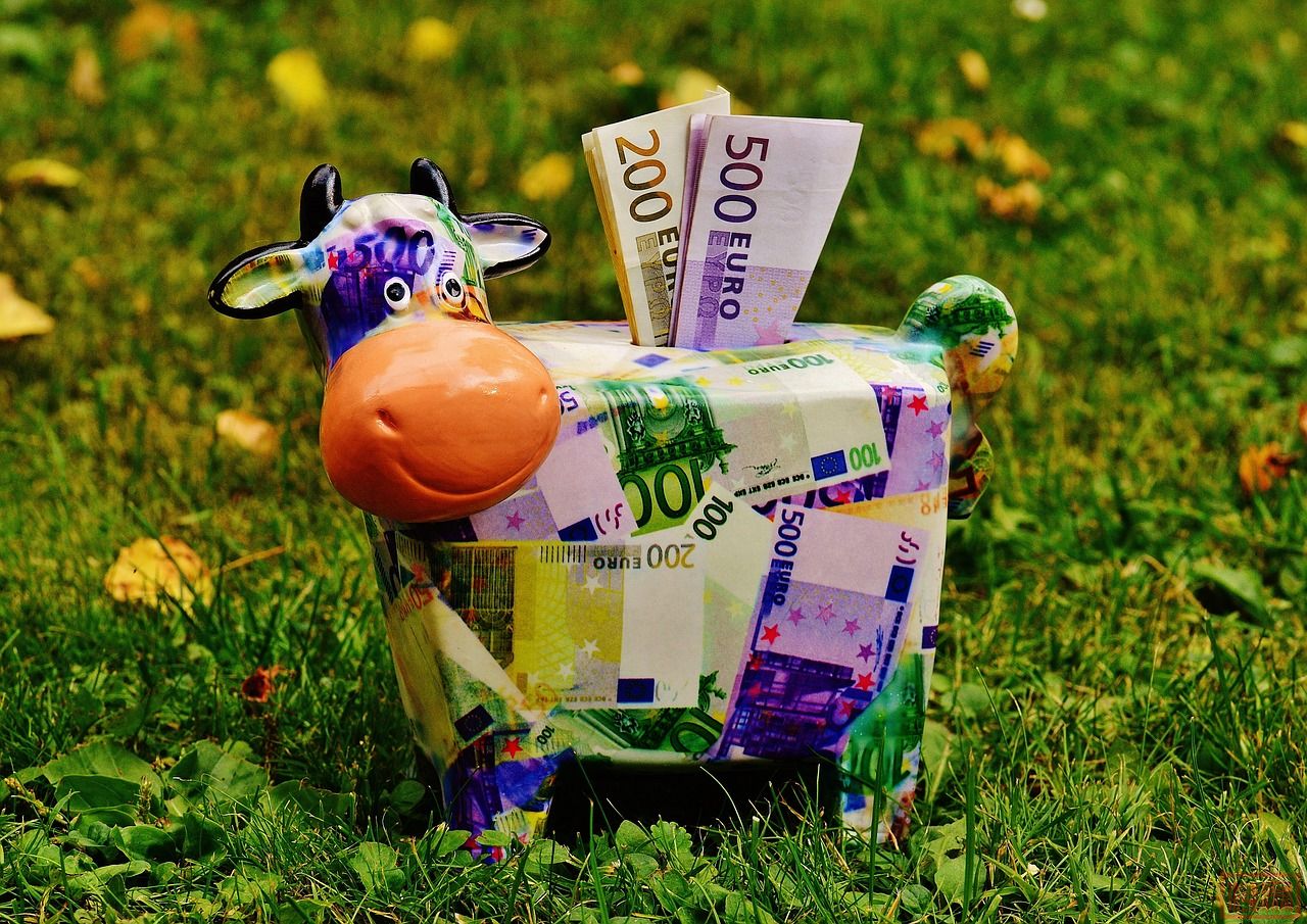 piggy-bank-1510525_1280 (1).jpg