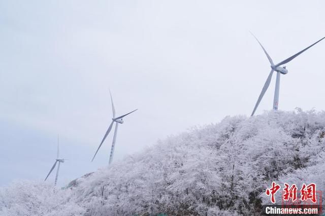 广西山区2025年第一场雪美如画卷-5.jpg