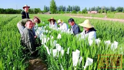 走，把科技成果“种”到田间地头——宁夏加速科技成果转化赋能现代农业高质量发展-2.jpg