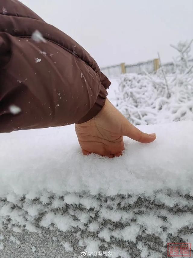 郑州出现大暴雪！河南局地积雪深度20厘米！今日进入雨雪最强时段，高速最新情况→-4.jpg