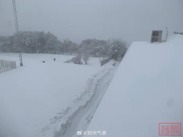 郑州出现大暴雪！河南局地积雪深度20厘米！今日进入雨雪最强时段，高速最新情况→-10.jpg