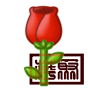 w9.jpg