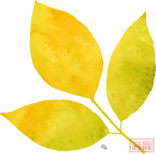 w1.jpg