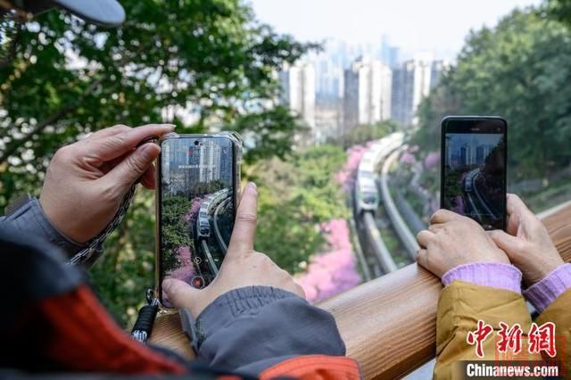 重庆：“开往春天的列车”浪漫上线-6.jpg