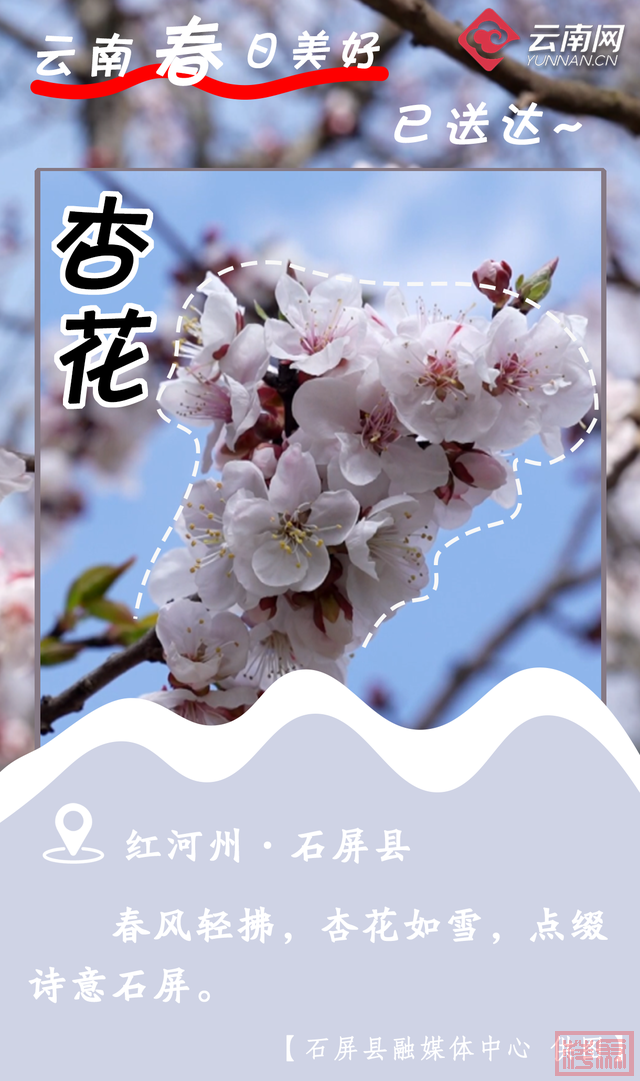 来云南，许你一场春暖花开-5.jpg