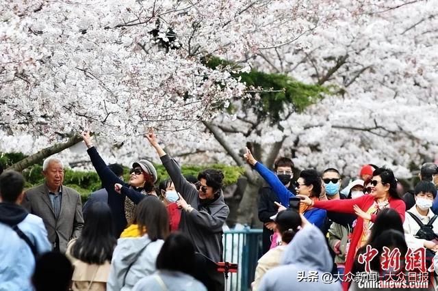 人这一辈子，一定要去山东看一场繁花！-6.jpg