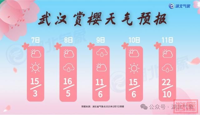 2025武汉樱花花期预报出炉！最佳观赏期就在……-4.jpg