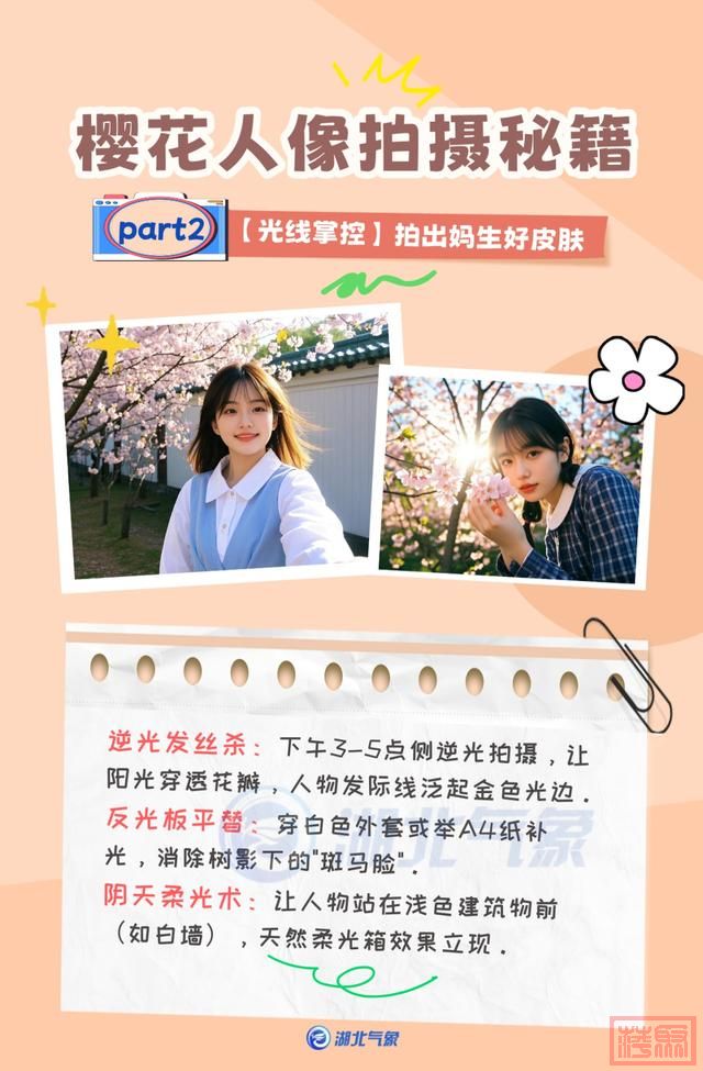 2025武汉樱花花期预报出炉！最佳观赏期就在……-6.jpg