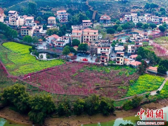 航拍广西梧州乡村风光 青山绿水春景如画-3.jpg