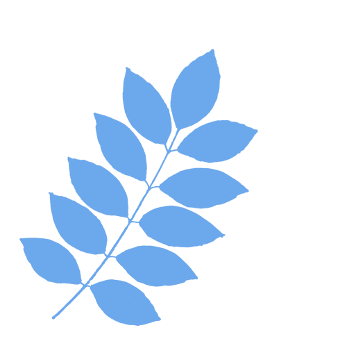 w3.jpg