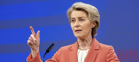 von-der-leyen-626 Kopie.png