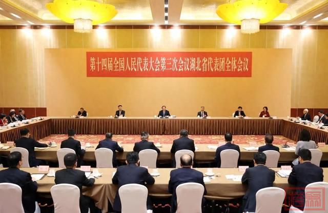 湖北代表团全体会议审议全国人大常委会工作报告和“两高”工作报告 王忠林主持并发言-1.jpg