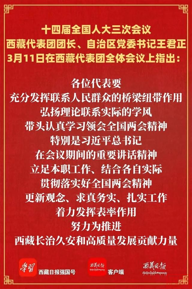 西藏代表团审议大会有关决议草案 王君正主持并讲话 严金海嘎玛泽登参加-2.jpg