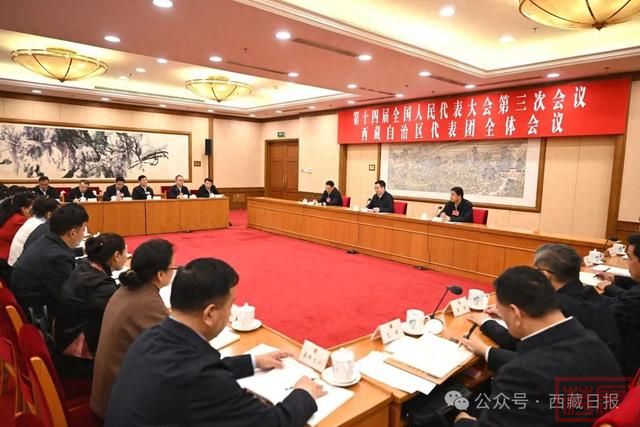 西藏代表团审议大会有关决议草案 王君正主持并讲话 严金海嘎玛泽登参加-1.jpg