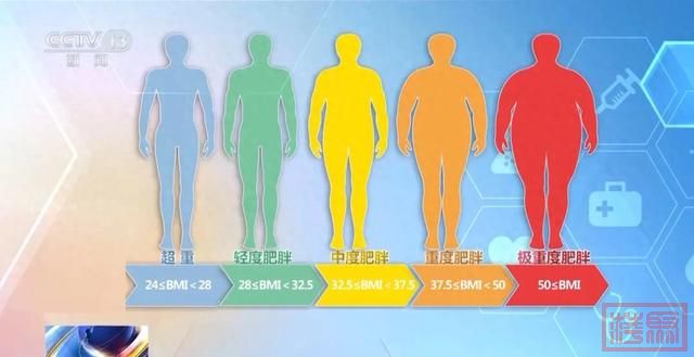 广东人专属食谱来了！国家手把手教你，这样吃能瘦→-1.jpg