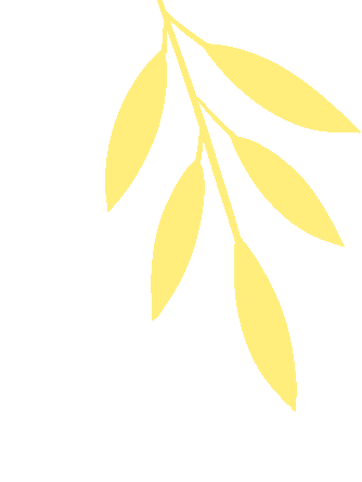 w9.jpg