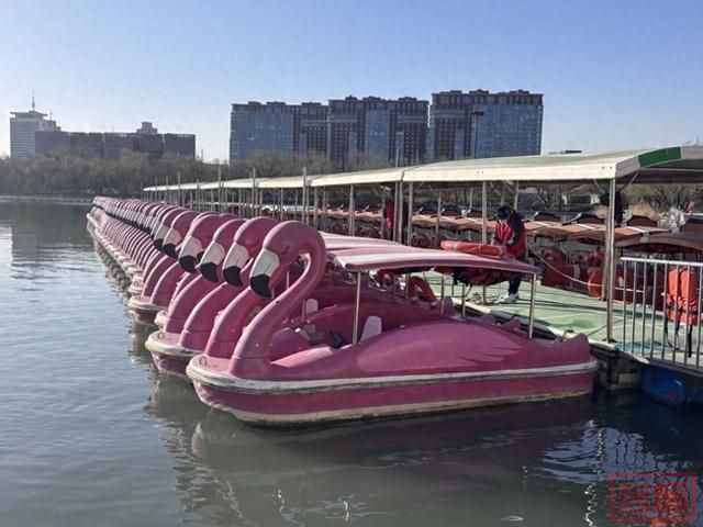 春和景明，荡起“双桨”！北京5家市属公园游船开航-1.jpg