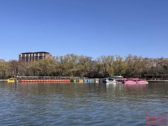 春和景明，荡起“双桨”！北京5家市属公园游船开航-3.jpg