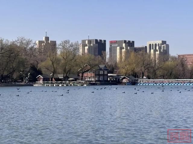 春和景明，荡起“双桨”！北京5家市属公园游船开航-5.jpg
