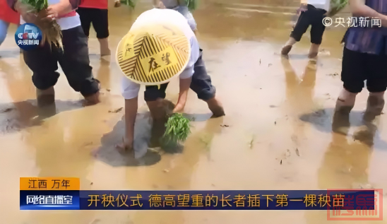 趣春耕 | 为什么说一望无际的田野里，藏着江西的底色？-19.jpg