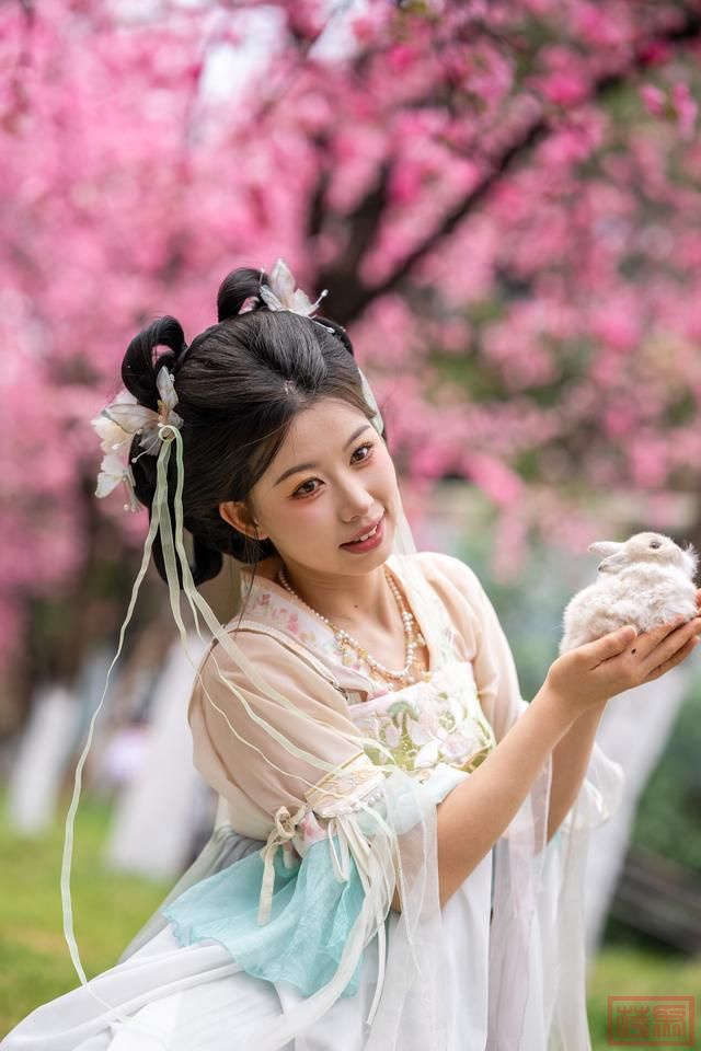 云南昆明：樱花绚烂春意浓-4.jpg