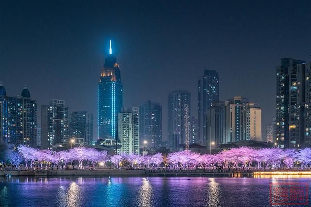 相约春天赏樱花！极目新闻记者带您打卡武汉三镇赏樱地-9.jpg