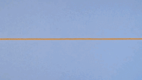 w9.jpg