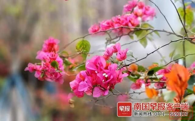 回南天倒计时！又一股冷空气要到广西，气温或降6~8℃-3.jpg