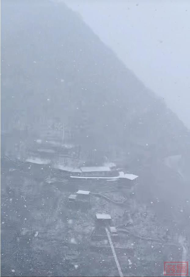 天津下雪啦！鹅毛大雪？！接下来太刺激了……-4.jpg