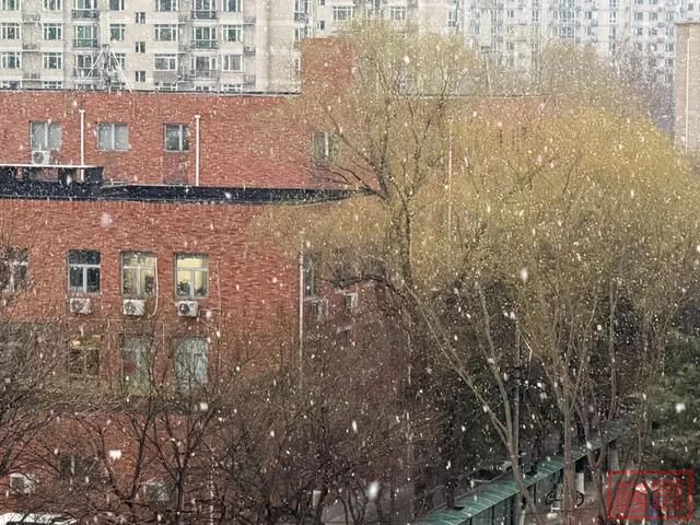 鹅毛大雪！北京城区终于也下雪啦！-1.jpg