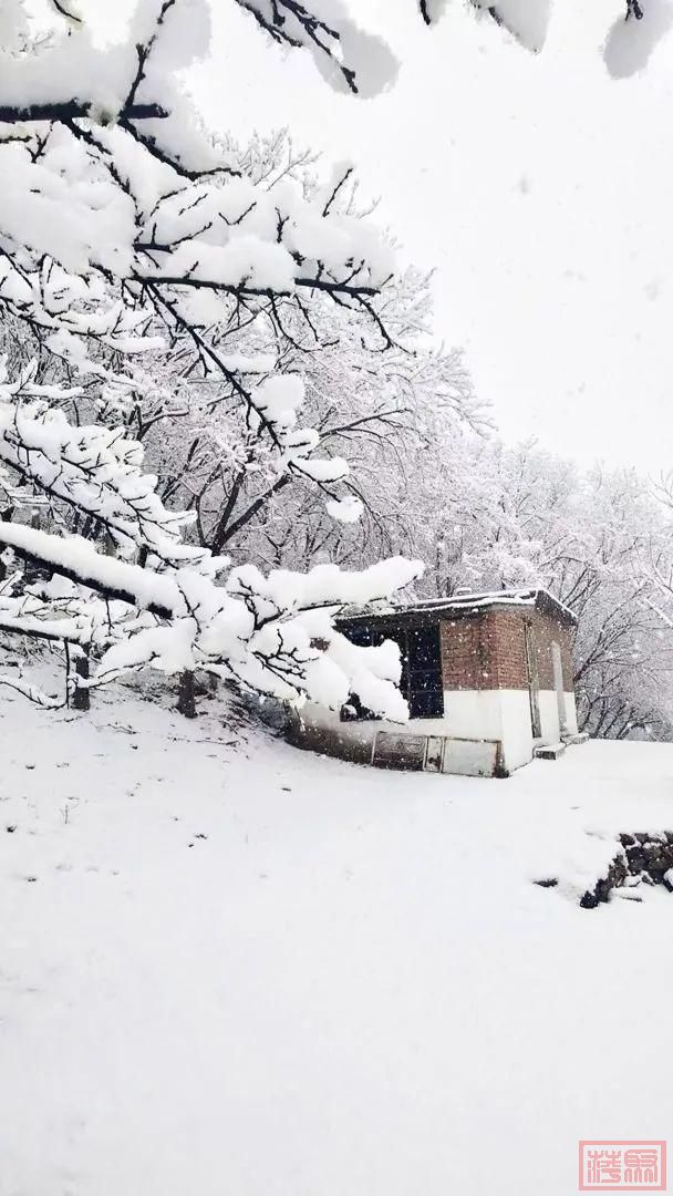 鹅毛大雪！北京城区终于也下雪啦！-3.jpg