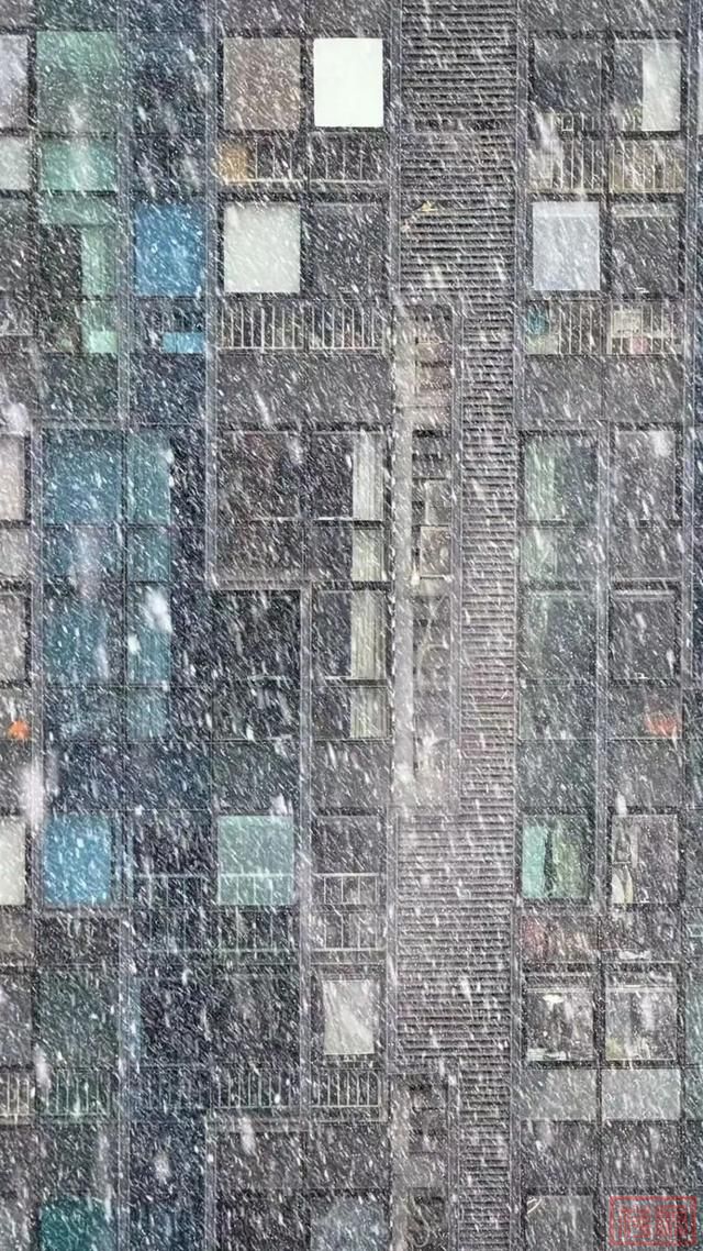 鹅毛大雪！北京城区终于也下雪啦！-2.jpg