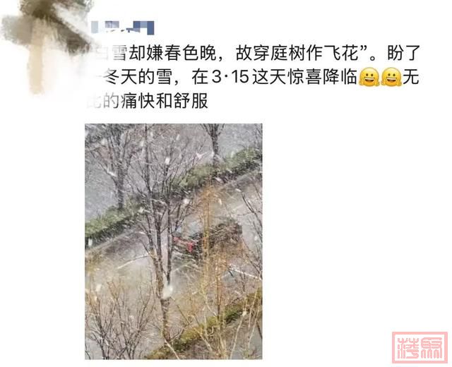 鹅毛大雪！北京城区终于也下雪啦！-5.jpg