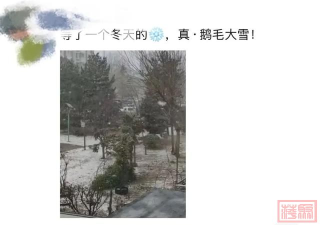 鹅毛大雪！北京城区终于也下雪啦！-7.jpg