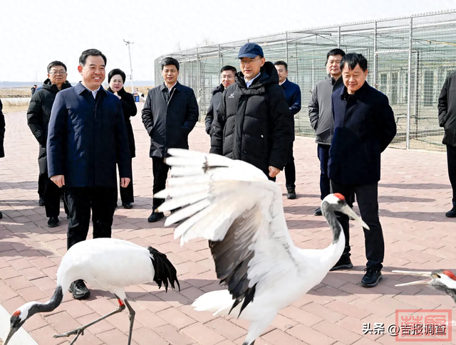 吉林省委书记黄强到白城调研-1.jpg
