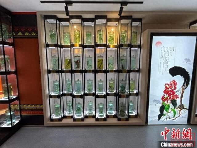 云南楚雄：千年彝药焕新机 “滇中药谷”正崛起-1.jpg